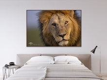 Load image into Gallery viewer, Incoming - Limited Edition Fine Art Print