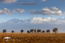 Load image into Gallery viewer, Kilimanjaro Herd - Limited Edition Fine Art Print