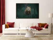 Load image into Gallery viewer, King of the Jungle - Limited Edition Fine Art Print