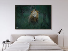 Load image into Gallery viewer, King of the Jungle - Limited Edition Fine Art Print