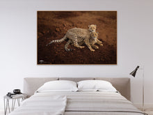 Load image into Gallery viewer, Mischief - Limited Edition Fine Art Print