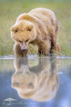 Load image into Gallery viewer, My Reflection - Limited Edition Fine Art Print