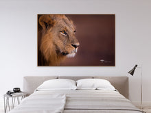 Load image into Gallery viewer, Nairobi King - Limited Edition Fine Art Print