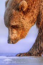 Load image into Gallery viewer, Pondering - Limited Edition Fine Art Print