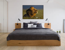 Load image into Gallery viewer, Pride - Limited Edition Fine Art Print