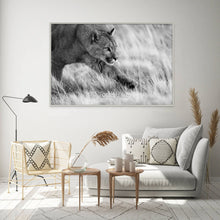 Load image into Gallery viewer, Prowling - Limited Edition Fine Art Print