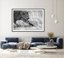 Load image into Gallery viewer, Prowling - Limited Edition Fine Art Print
