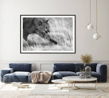 Load image into Gallery viewer, Prowling - Limited Edition Fine Art Print