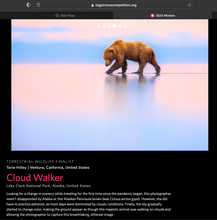 Load image into Gallery viewer, Cloud Walker - Limited Edition Fine Art Print