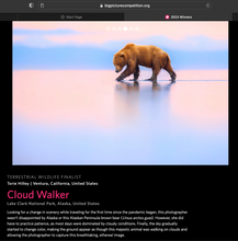 Load image into Gallery viewer, Cloud Walker - Limited Edition Fine Art Print
