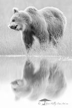 Load image into Gallery viewer, Shake It Off - Limited Edition Fine Art Print