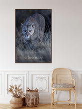 Load image into Gallery viewer, Stare Down - Limited Edition Fine Art Print
