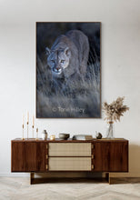 Load image into Gallery viewer, Stare Down - Limited Edition Fine Art Print
