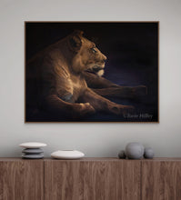 Load image into Gallery viewer, Twilight Lioness - Limited Edition Reproduction Prints