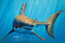 Load image into Gallery viewer, Bruce - Limited Edition Reproduction Prints