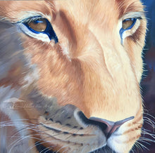 Load image into Gallery viewer, Paza - Limited Edition Reproduction Prints