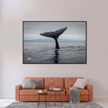 Load image into Gallery viewer, A Whale of a Tail - Limited Edition Fine Art Print