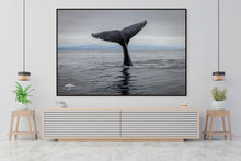 Load image into Gallery viewer, A Whale of a Tail - Limited Edition Fine Art Print