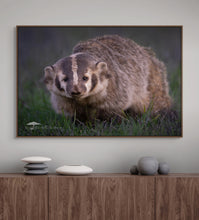 Load image into Gallery viewer, Adorably Fierce - Limited Edition Fine Art Print