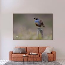Load image into Gallery viewer, California's Sentinel - Limited Edition Fine Art Print