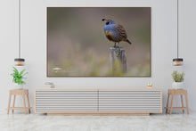 Load image into Gallery viewer, California's Sentinel - Limited Edition Fine Art Print