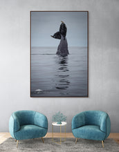 Load image into Gallery viewer, Graceful Decent - Limited Edition Fine Art Print