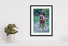 Load image into Gallery viewer, Happy Dog - Limited Edition Fine Art Print