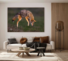 Load image into Gallery viewer, JUMP - Limited Edition Fine Art Print