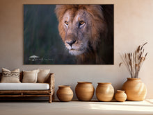 Load image into Gallery viewer, Orange Eyes - Limited Edition Fine Art Print