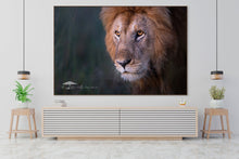 Load image into Gallery viewer, Orange Eyes - Limited Edition Fine Art Print