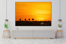 Load image into Gallery viewer, Ostriches at Sunset - Limited Edition Fine Art Print