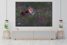 Load image into Gallery viewer, Quiet Watch - Limited Edition Fine Art Print