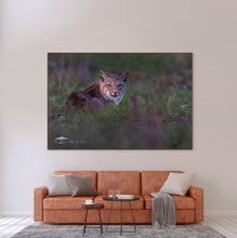 Load image into Gallery viewer, Quiet Watch - Limited Edition Fine Art Print