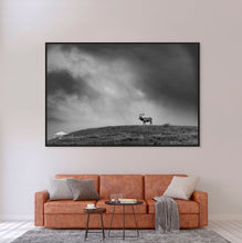 Load image into Gallery viewer, Stormy Elk - Limited Edition Fine Art Print