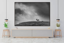 Load image into Gallery viewer, Stormy Elk - Limited Edition Fine Art Print