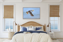 Load image into Gallery viewer, Flight - Limited Edition Fine Art Print