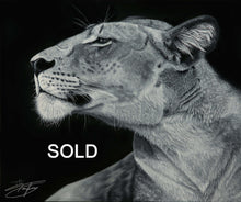 Load image into Gallery viewer, Regal - Original - SOLD