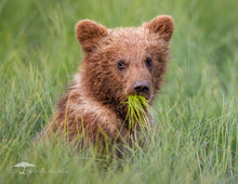 Load image into Gallery viewer, 2026 CALENDAR

