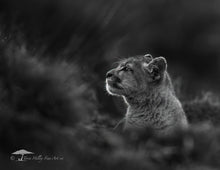 Load image into Gallery viewer, 2026 CALENDAR
