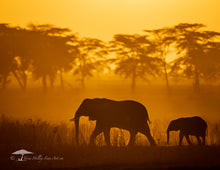 Load image into Gallery viewer, 2026 CALENDAR
