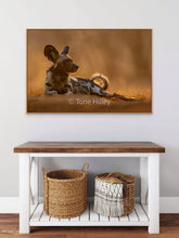Load image into Gallery viewer, Mana Pools Magic - Limited Edition Fine Art Print
