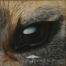 Load image into Gallery viewer, African Predator Eyes - Limited Edition Reproduction Prints
