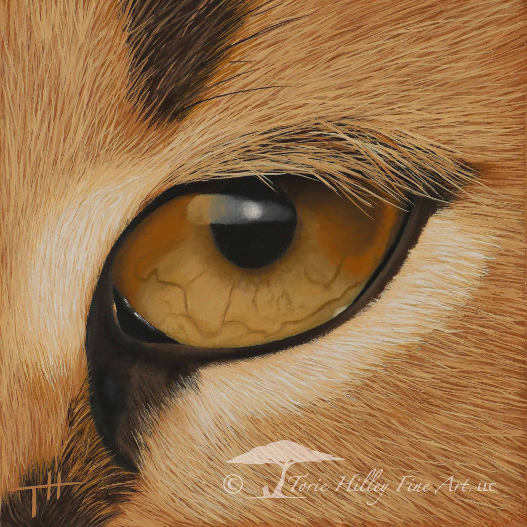 African Cat Eyes - Limited Edition Reproduction Prints