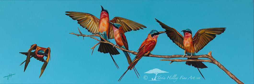 Carmine Bee Eaters - Limited Edition Reproduction Prints