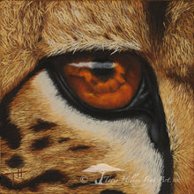 Load image into Gallery viewer, African Cat Eyes - Limited Edition Reproduction Prints
