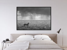 Load image into Gallery viewer, Looking to the Rains - Limited Edition Fine Art Print
