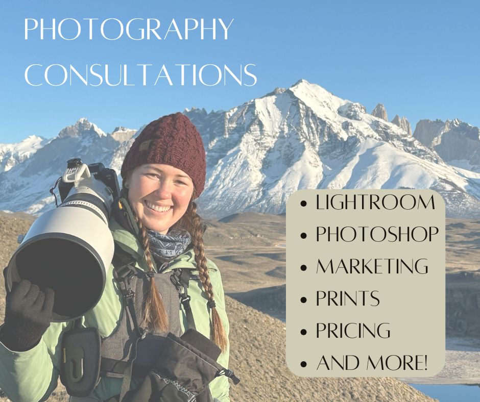 Photography Consultations