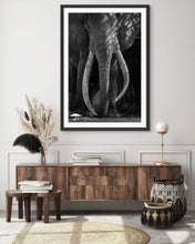 Load image into Gallery viewer, Craig - Limited Edition Fine Art Print
