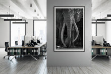 Load image into Gallery viewer, Craig - Limited Edition Fine Art Print
