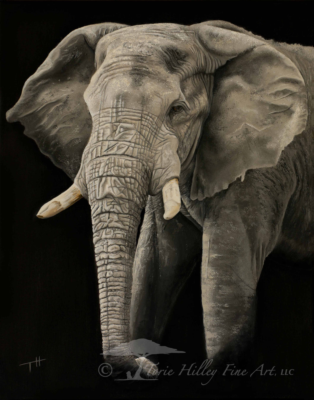 Dreaming of Elephants - Limited Edition Reproduction Prints